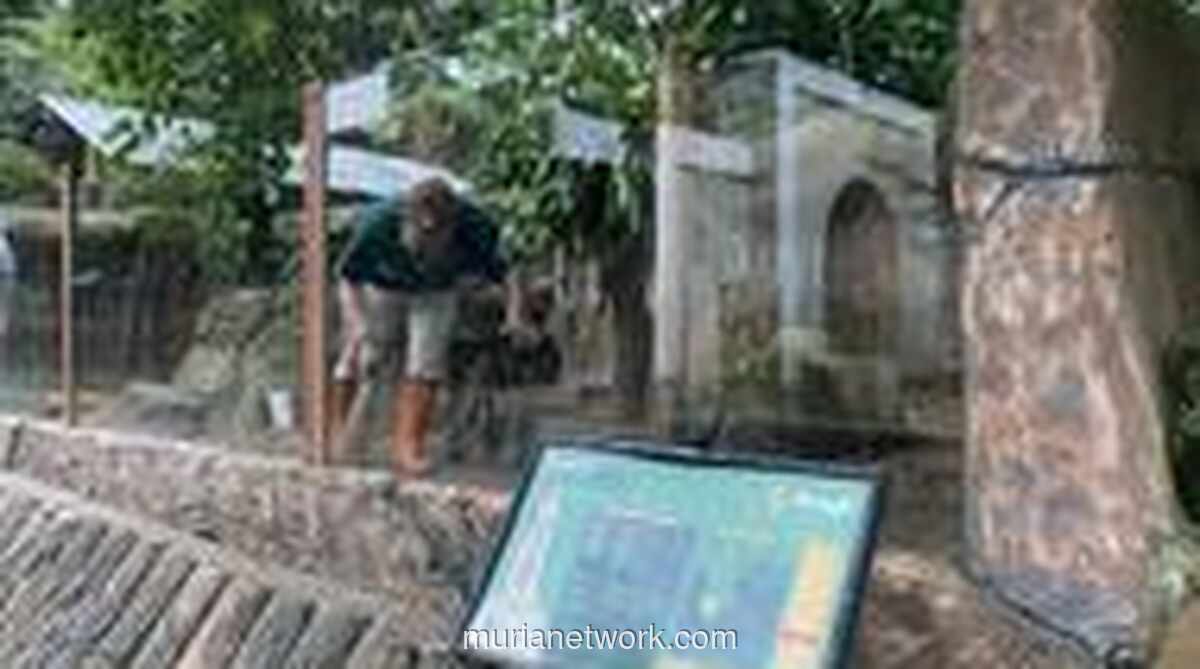 Nasib 124 Pekerja Bandung Zoo Tak Jelas Usai Pencabutan Izin Pengelolaan