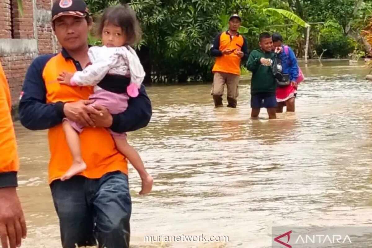 Tanggul Sungai Cabean di Demak Jebol, Ratusan Rumah dan Lahan Pertanian Terendam