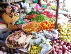 Pakar Logistik Soroti Perlu Reformasi Sistem Distribusi untuk Tekan Inflasi Ramadan