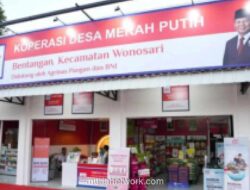 Kemenkop UKM Buka Pendaftaran Business Assistant 2026 untuk Dampingi Koperasi Desa