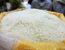 Pemerintah Buka Impor Beras 1.000 Ton dari AS, Tegaskan Tak Ganggu Swasembada