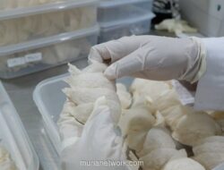 RLCO Bentuk Anak Usaha Baru untuk Garap Bisnis Protein Laut