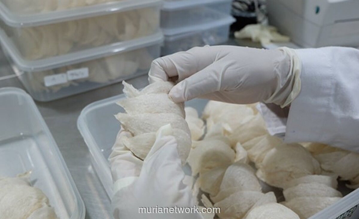 RLCO Bentuk Anak Usaha Baru untuk Garap Bisnis Protein Laut