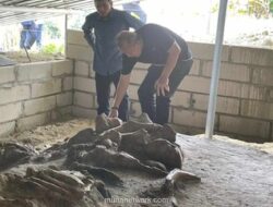 Nasdem Dorong Situs Patiayam Kudus Jadi Cagar Budaya Nasional