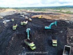 Saham Hillcon Anjlok 14,71%, Tertekan Sejak IPO