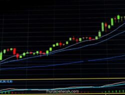 Kebijakan Pangkas Produksi Nikel Dongkrak Saham Tambang di BEI
