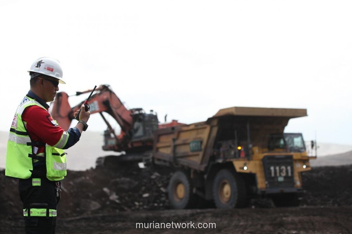 Samindo Resources Pacu Target Overburden Removal ke 34,5 Juta BCM pada 2026