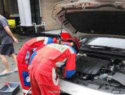 Petugas Gulkarmat Evakuasi Ular Sanca Albino dari Kap Mobil di Batu Ampar