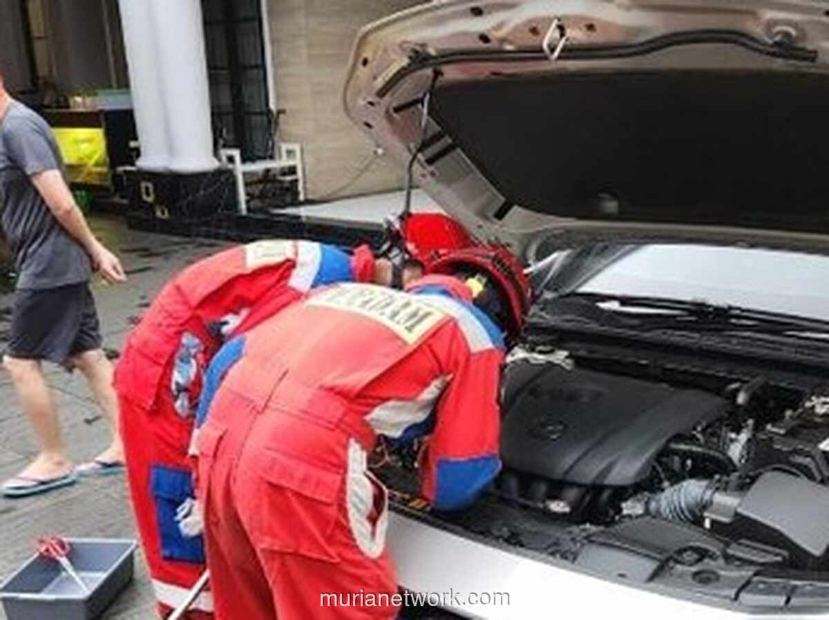 Petugas Gulkarmat Evakuasi Ular Sanca Albino dari Kap Mobil di Batu Ampar