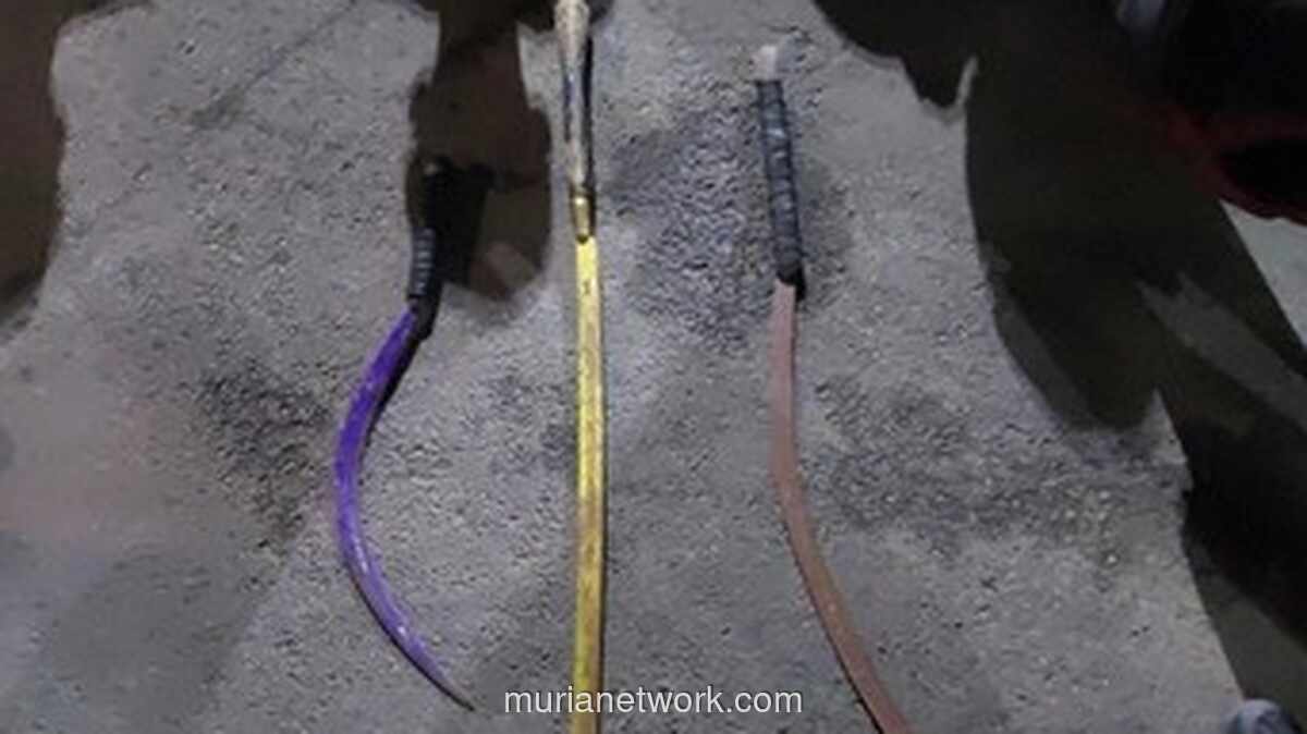 Satgas Anti Tawuran Ringkus 7 Pemuda Bersenjata Tajam di Cilincing