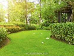 Satpol PP DKI Belum Terima Laporan Resmi Soal Video Mesum di Taman Ciracas