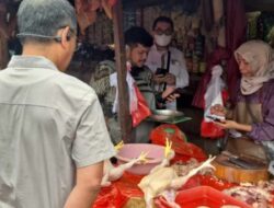 Kementerian Pertanian Pastikan Harga Ayam di Pasar Minggu Masih Sesuai Acuan