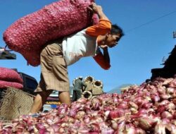 Bawang Merah Brebes Ekspor ke Empat Negara ASEAN, Dukung Swasembada Nasional