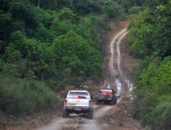 Ahli IPB Peringatkan Deforestasi Picu Ledakan Nyamuk dan Ancaman Penyakit