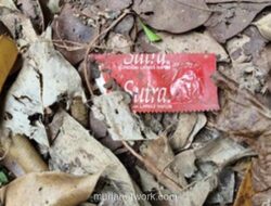 Taman Kota Cawang Diduga Jadi Lokasi Praktik Asusila, Akses Gelap Ditutup