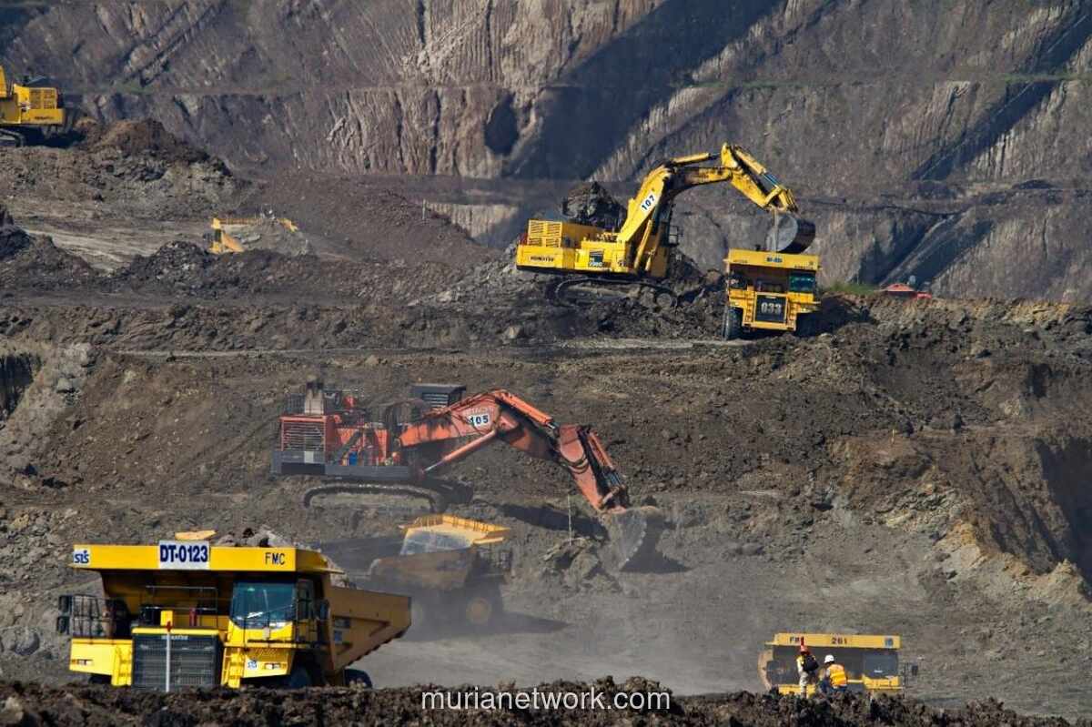 Pemerintah Pangkas Target Produksi Batu Bara, Kontraktor Tambang Terancam