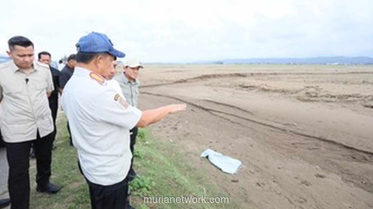 Mendagri Tinjau Kerusakan Lahan Pertanian Pidie Jaya, Desak Respons Cepat Kementan