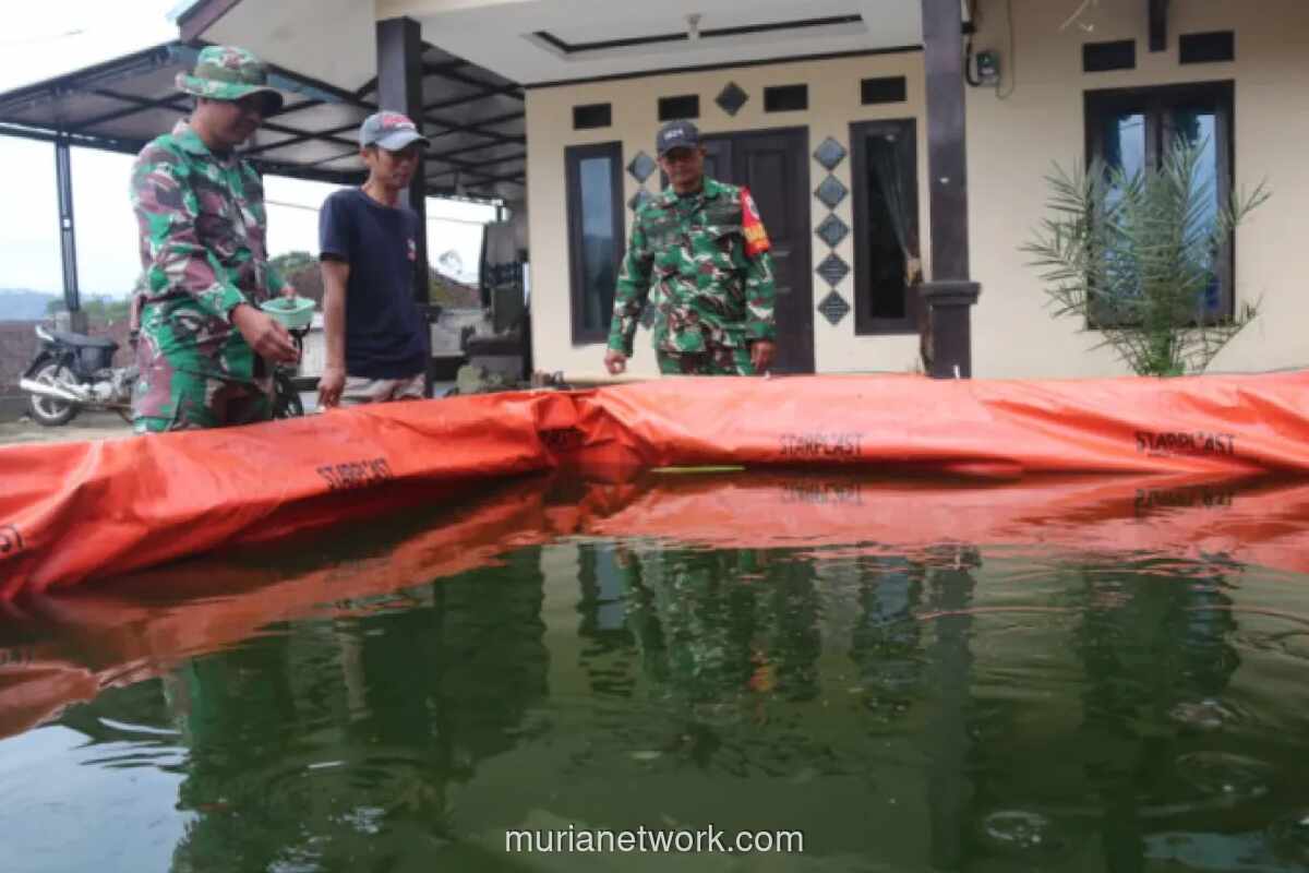 TMMD Ke-127 di Bandung: 1.000 Benih Lele Tumbuh Sehat, Kelompok Tani Optimis