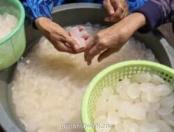 Kolang-kaling Jadi Primadona Musiman di Pasar Induk Kramat Jati Saat Ramadhan