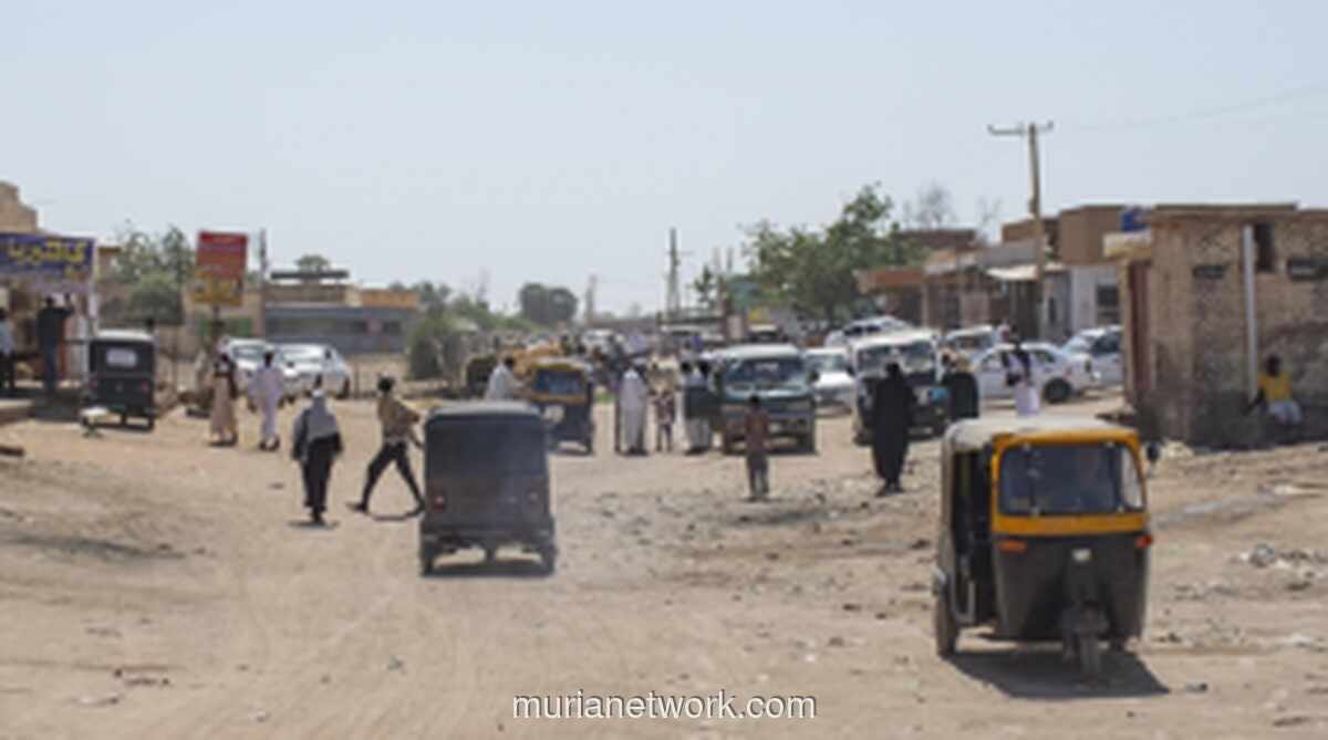 Turki Kutuk Keras Serangan RSF terhadap Pengungsi Sipil di Sudan