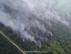 Tim Gabungan Berjibaku Padamkan Kebakaran Hutan di Riau dan Kepri