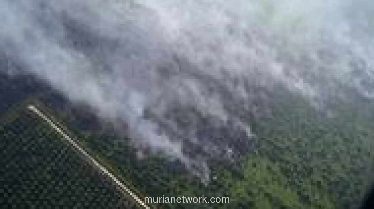 Tim Gabungan Berjibaku Padamkan Kebakaran Hutan di Riau dan Kepri