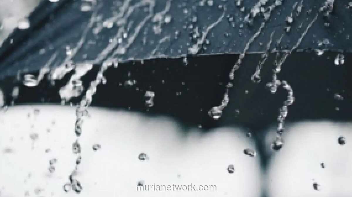 BMKG Peringatkan Potensi Hujan Lebat hingga Sangat Lebat di Sejumlah Wilayah Hari Ini