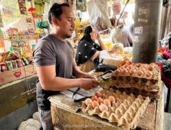 Harga Pangan Pokok Turun Dominan, Cabai dan Jagung Anjlok Signifikan