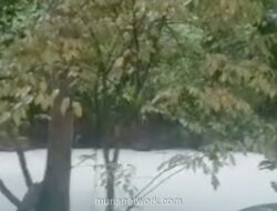 Kebakaran Gudang Pestisida Warna-warnai Air Sungai Jaletreng, Pemkot Pastikan Pasokan Pipa Aman