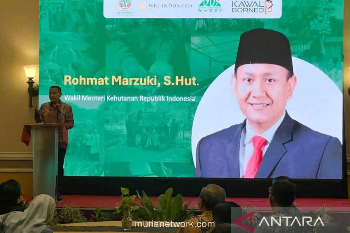 Pemerintah Fokus Pulihkan Lahan Perhutanan Sosial yang Rusak Akibat Banjir di Sumatera