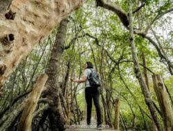 Wamenpar: Pariwisata Berkelanjutan Jadi Keharusan untuk Tingkatkan Daya Saing Global