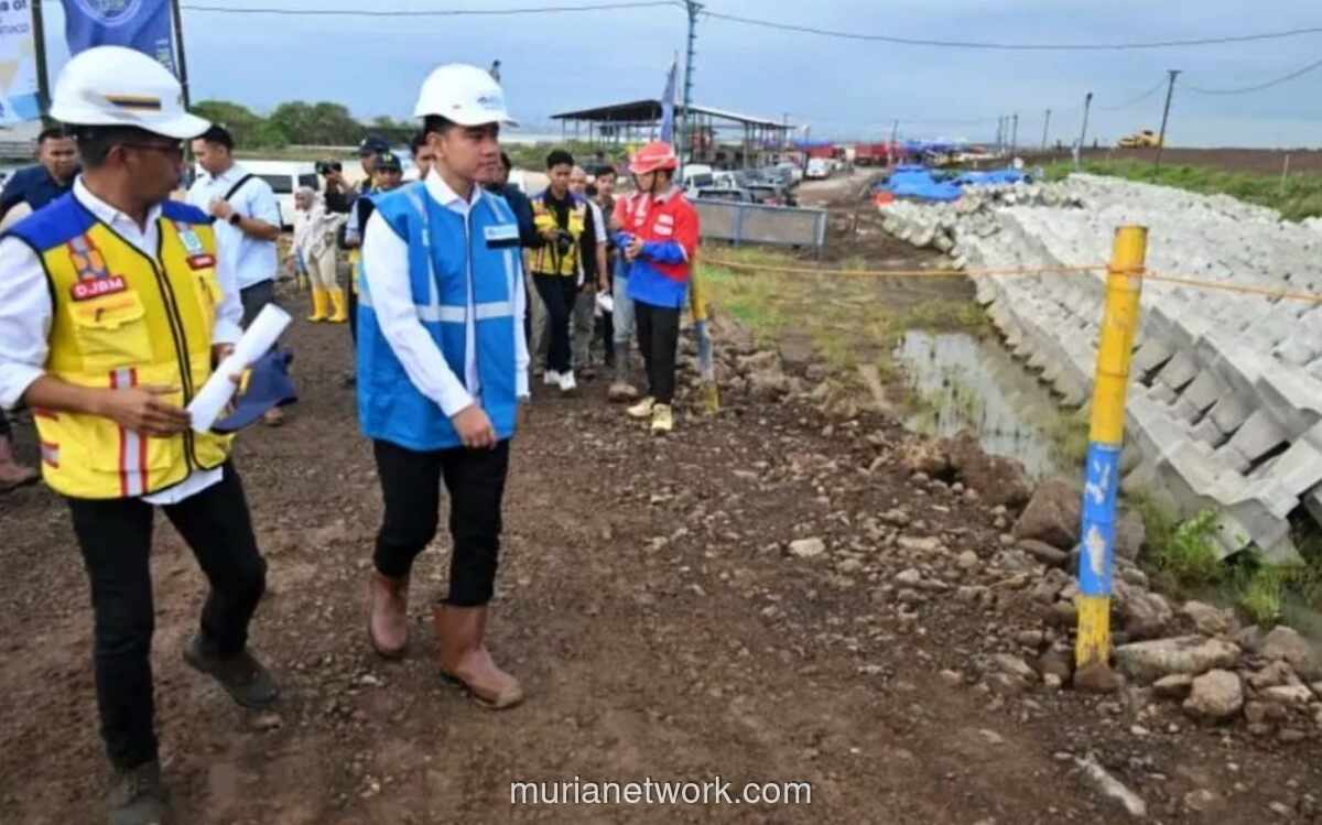 Wapres Gibran Tinjau Progres Tol Semarang-Demak, Soroti Fungsi Ganda sebagai Tanggul Penahan Rob