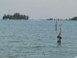 BMKG Peringatkan Potensi Banjir Rob Maksimum di Pesisir Indonesia pada Februari 2026
