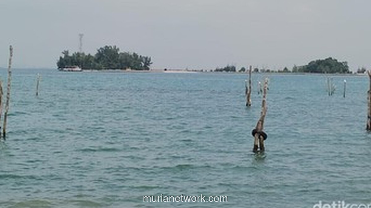 BMKG Peringatkan Potensi Banjir Rob Maksimum di Pesisir Indonesia pada Februari 2026