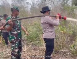 Kebakaran Hutan Landa Dua Kecamatan di Dumai, 18 Titik Api Masih Berkobar