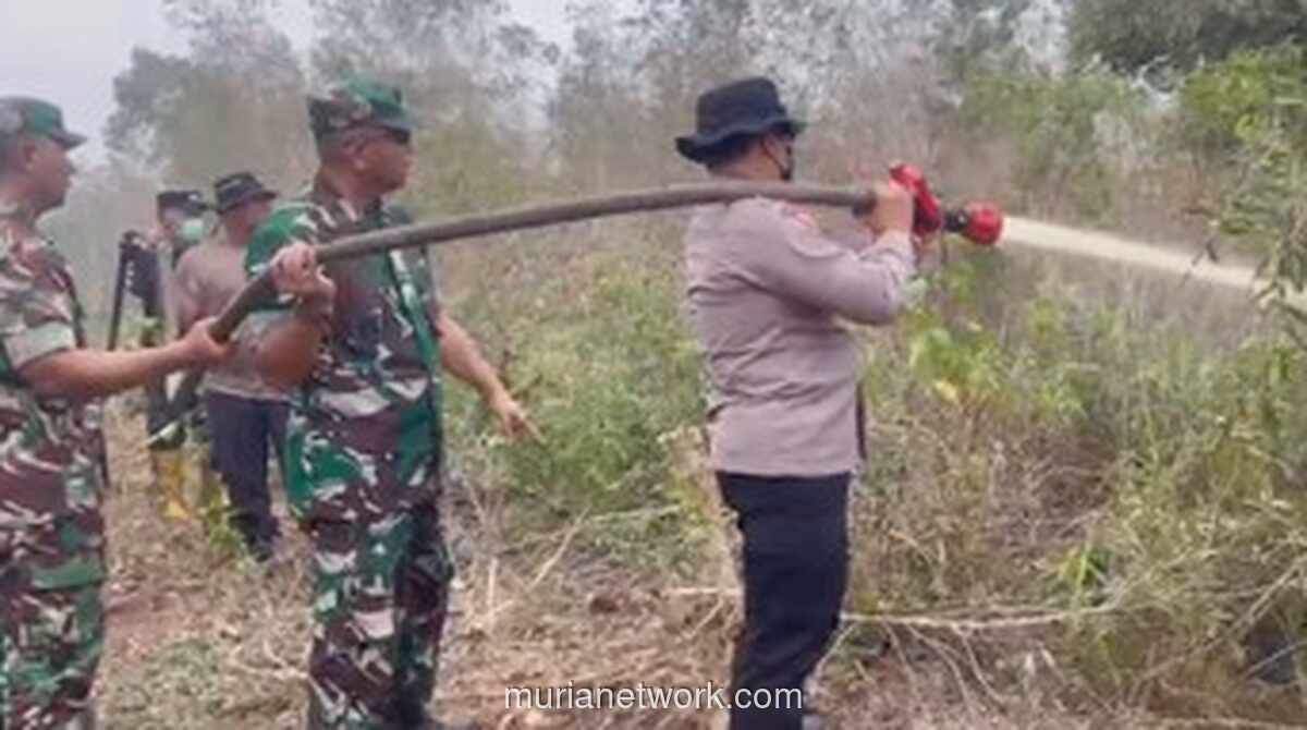 Kebakaran Hutan Landa Dua Kecamatan di Dumai, 18 Titik Api Masih Berkobar