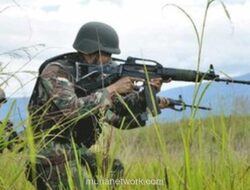 Dua Prajurit Marinir Tewas, Senjata Hilang dalam Baku Tembak dengan KKB di Maybrat