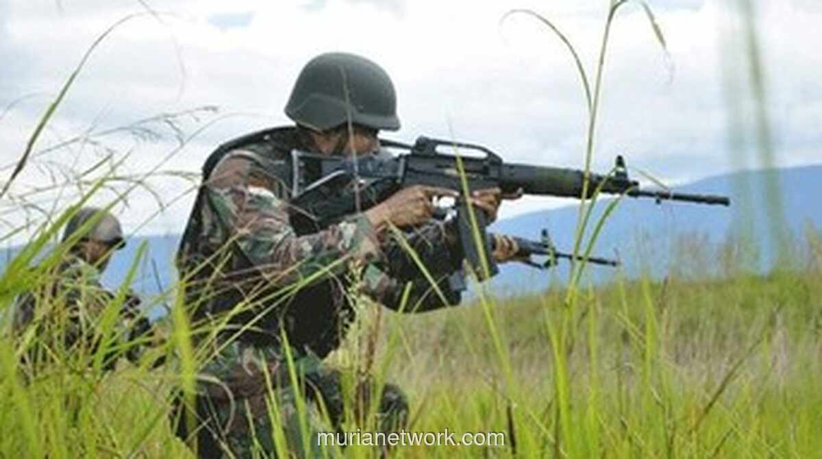 Dua Prajurit Marinir Tewas, Senjata Hilang dalam Baku Tembak dengan KKB di Maybrat