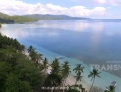 Kokain 25 Kilogram Terdampar di Pantai Selayar, Diduga Selundupan dari Kolombia