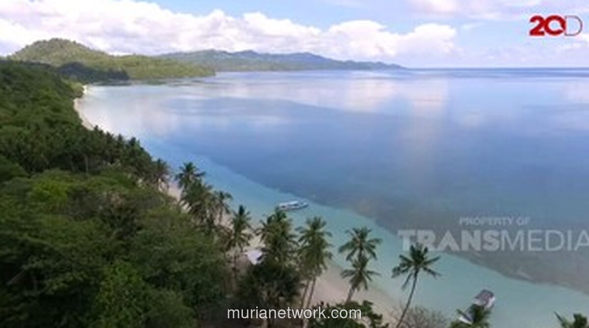 Kokain 25 Kilogram Terdampar di Pantai Selayar, Diduga Selundupan dari Kolombia