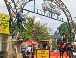 Ragunan Dibanjiri 30 Ribu Pengunjung di H+1 Lebaran