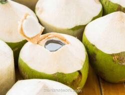 Air Kelapa Muda, Minuman Rehidrasi Alami yang Cocok untuk Berbuka Puasa