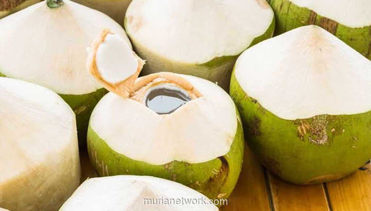 Air Kelapa Muda, Minuman Rehidrasi Alami yang Cocok untuk Berbuka Puasa