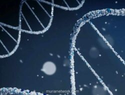 Mitos Larangan Mandi hingga Vaksin, Ini 7 Fakta Campak yang Perlu Diluruskan