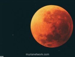 BMKG Pastikan Gerhana Bulan Total Terlihat di Indonesia pada 3 Maret 2026