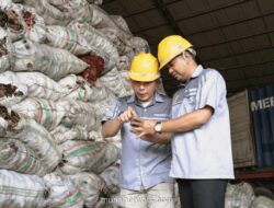 Saham OILS Melesat, Produsen Minyak Kelapa Ini Ekspor ke Berbagai Negara