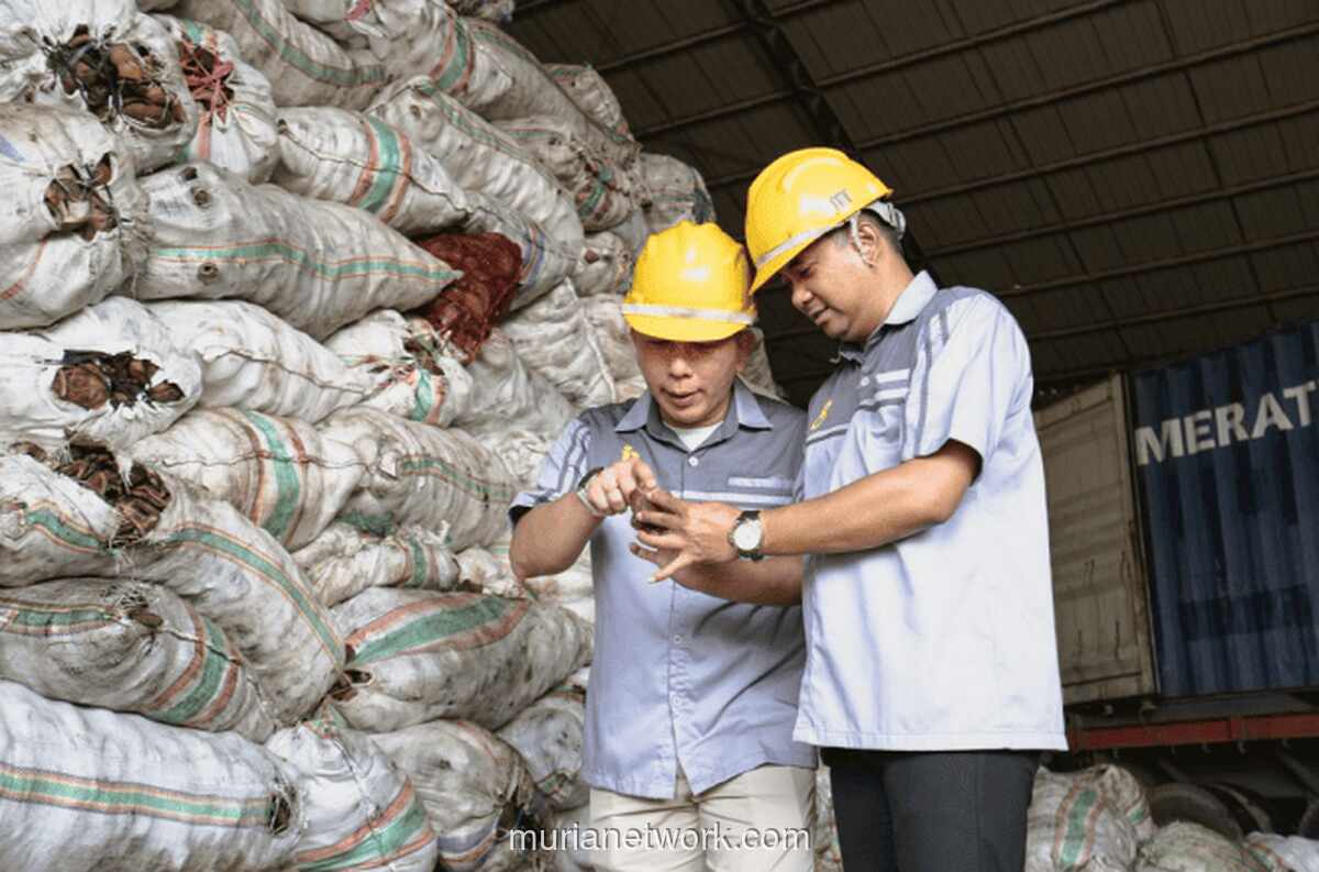 Saham OILS Melesat, Produsen Minyak Kelapa Ini Ekspor ke Berbagai Negara