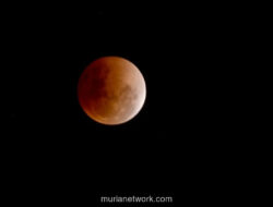 BMKG Konfirmasi Gerhana Bulan Total Blood Moon Terlihat di Seluruh Indonesia 3 Maret 2026