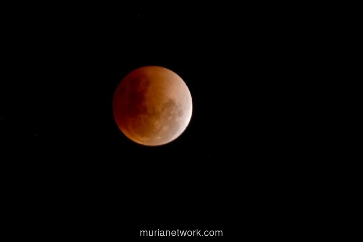 BMKG Konfirmasi Gerhana Bulan Total Blood Moon Terlihat di Seluruh Indonesia 3 Maret 2026