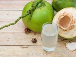 Sembilan Layanan Gizi di Gresik Ditutup Sementara Usai Berikan Kelapa Utuh